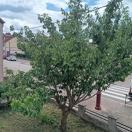 Πανσιόν Maison D Avec Diner