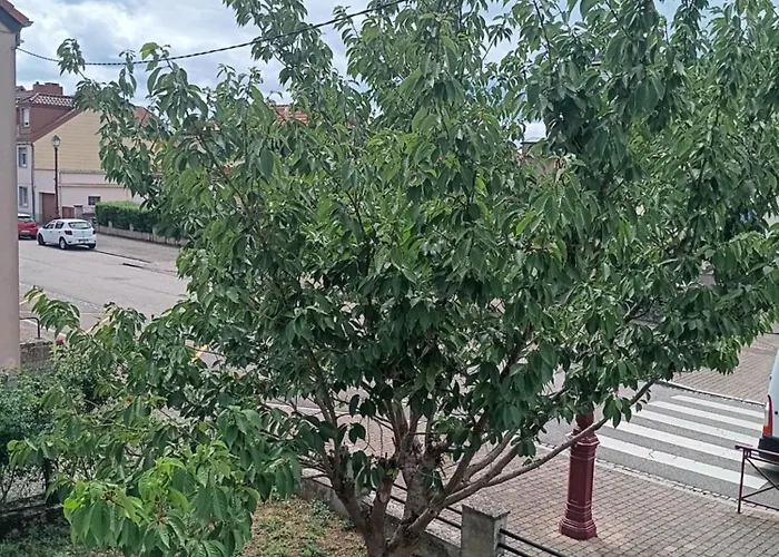 Πανσιόν Maison D Avec Diner